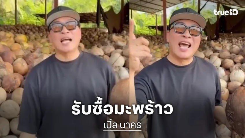 “เปิ้ล นาคร” รับซื้อมะพร้าว 1 แสน 2 หมื่นลูกต่อเดือน ช่วยเกษตรกรไทย หลังเจอวิกฤตราคาตกต่ำ