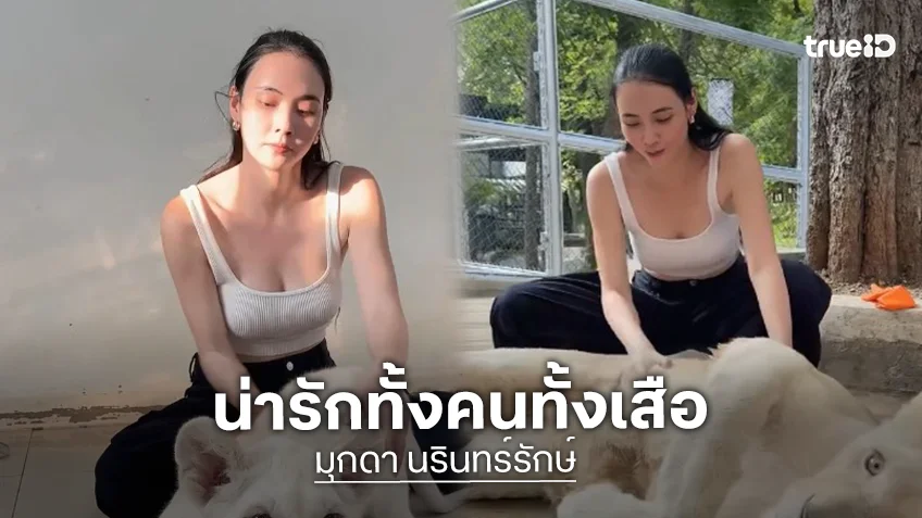 “มุกดา” รับบทพี่เลี้ยงเสือที่สวนสัตว์โบนันซ่าเขาใหญ่ น่ารักทั้งเสือ น่ารักทั้งคน!