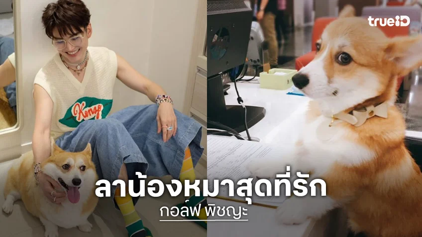 โอบกอดด้วยความรัก “กอล์ฟ พิชญะ” อำลาน้องหมาสุดที่รักเดินทางกลับดาวหมาอย่างสงบ