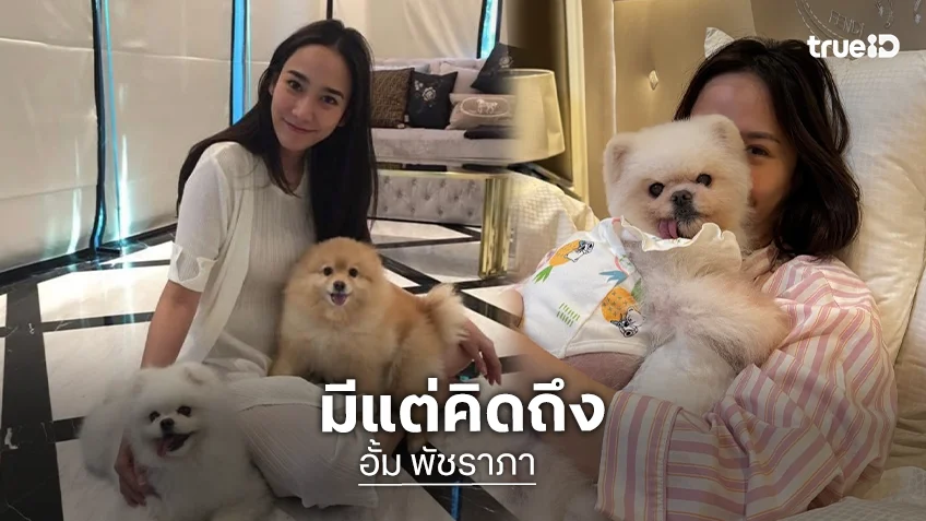 มีแต่คิดถึง! “อั้ม พัชราภา” ทำบุญครบรอบ “น้องสตางค์” หลังสุนัขสุดที่รักจากไป 1 ปี