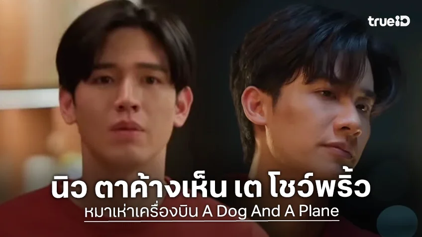 หมาเห่าเครื่องบิน A Dog And A Plane EP.2: นิว ตาค้างเห็น เต โชว์พริ้ว เริ่มภารกิจจับชู้ เพื่อชดใช้หนี้!