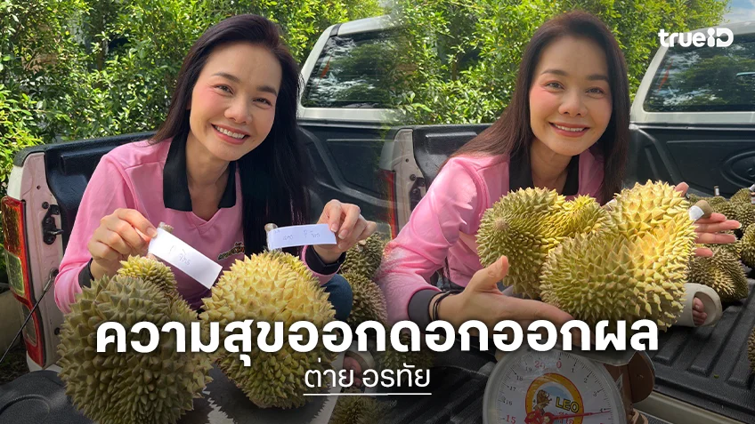 สวนทุเรียน "ต่าย อรทัย" เปิดฤดูกาลแรก กระแสจองล้น