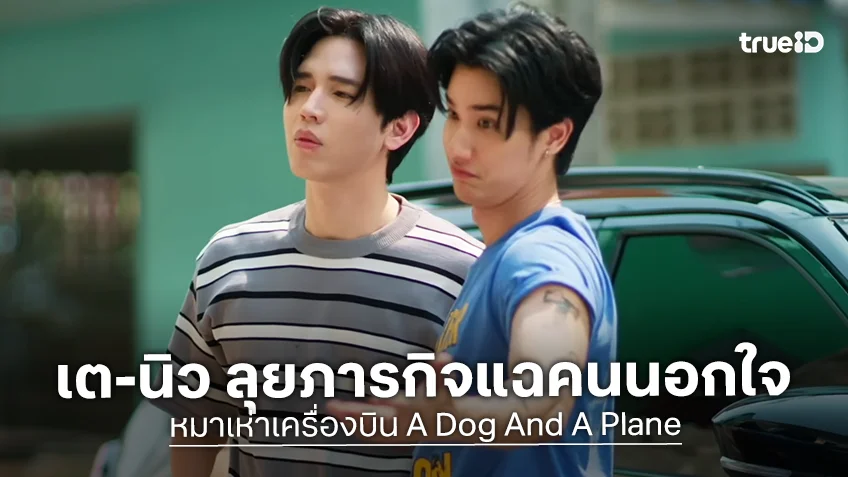 หมาเห่าเครื่องบิน A Dog And A Plane EP.4 : เต ชวน นิว ลุยภารกิจแฉคนนอกใจ