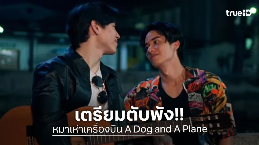 หมาเห่าเครื่องบิน EP.9 :  เตรียมตับพัง!! เต ฝืนยิ้มแยกจาก นิว