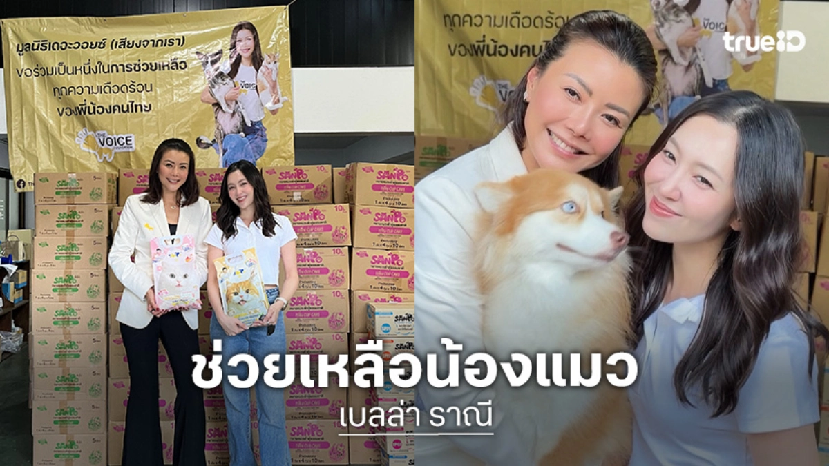 “เบลล่า” นำทรายแมวมอบให้มูลนิธิเดอะวอยซ์ เพื่อช่วยเหลือแมวที่ได้รับผลกระทบจากน้ำท่วม