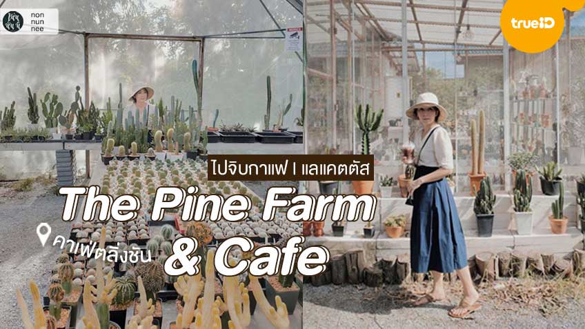 คาเฟ่กรุงเทพ ย่านตลิ่งชัน The Pine Farm & Cafe