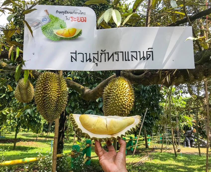 สวนสุภัทราแลนด์