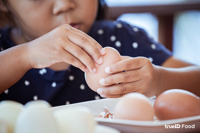 ประโยชน์ของการกินไข่ ควรกินไข่วันละกี่ฟอง ไข่ไก่