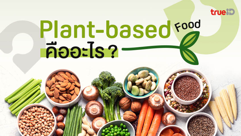 อาหารจากพืช ! Plant-Based Food คืออะไร เทรนด์มาแรง ของคนรักสุขภาพ