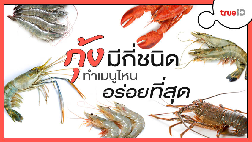 กุ้งมีกี่ชนิด ต่างกันยังไง กุ้งอะไรทำเมนูไหนอร่อย มาหาคำตอบกัน !