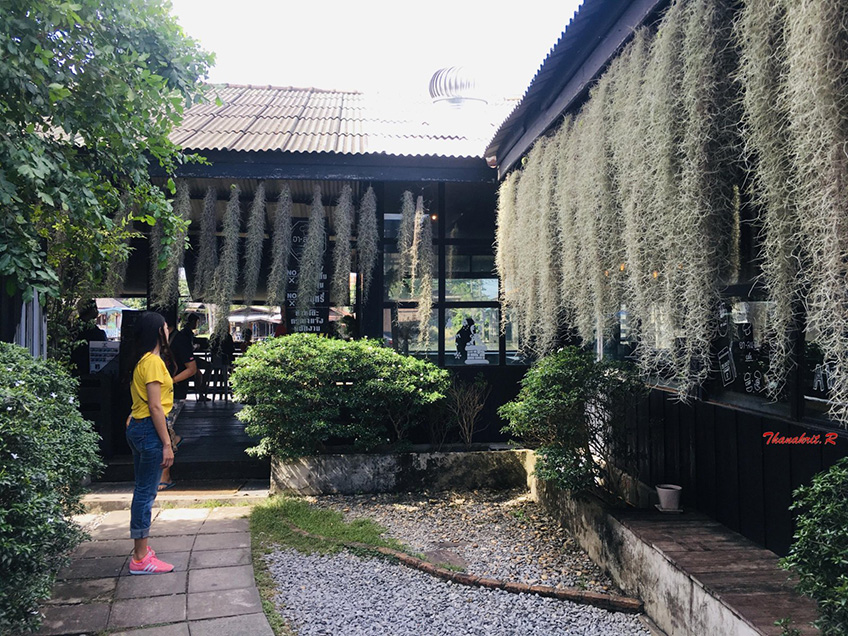 อาลมดี Cafe คาเฟ่ ร้านกาแฟ ปากเกร็ด