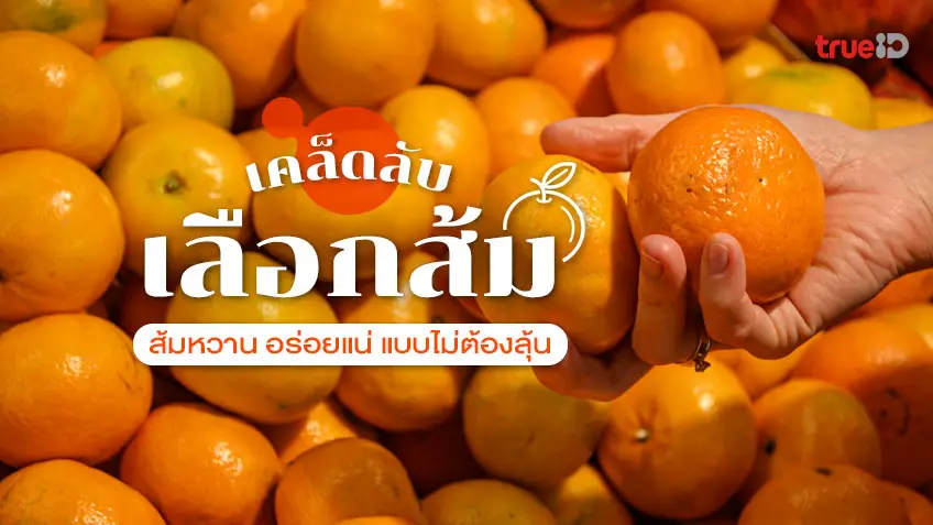 ส้มเขียวหวาน- รวมที่กินสุดฮิต ที่เกี่ยวข้องกับ 