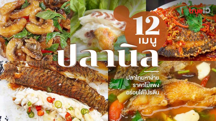 12 สูตรอาหาร เมนูปลานิล ปลาไทยราคาไม่แพง อร่อยง่ายได้โปรตีน