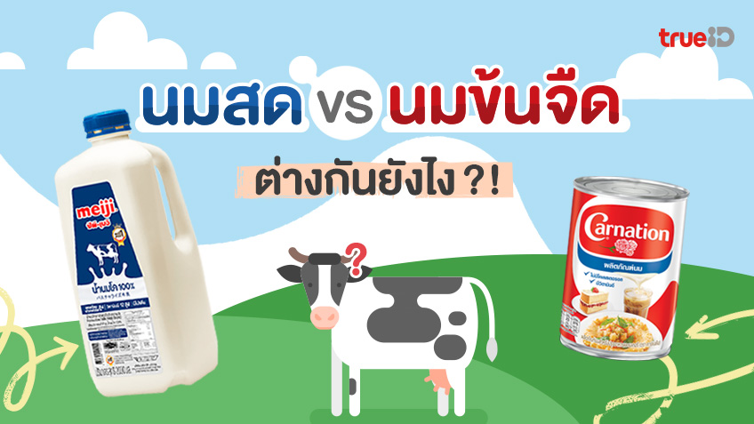 นมวัวดียังไง ประโยชน์ของนม ดื่มนมให้ถูกวิธี ดีต่อใจ แถมได้สุขภาพดี