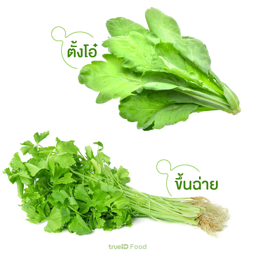 ตั้งโอ๋ ชั้นฉ่าย เหมือนกันไหม ต่างกันยังไง
