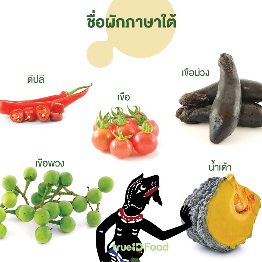 รวมชื่อผักภาษาใต้ เรียกว่าอะไร ไอไร๊หนิ