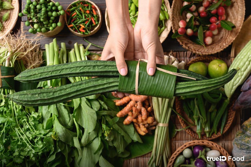 ประโยชน์ของบวบ บวบ คืออะไร สรรพคุณของบวบ ชนิดของบวบ บวบเหลี่ยม