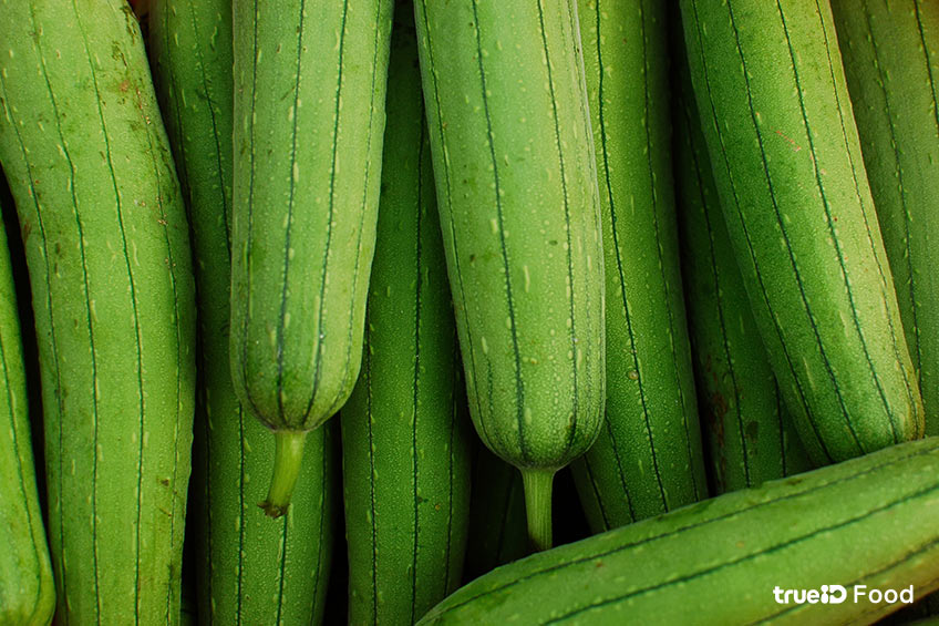 ประโยชน์ของบวบ บวบ คืออะไร สรรพคุณของบวบ ชนิดของบวบ บวบหอม บวบภาคอีสาน