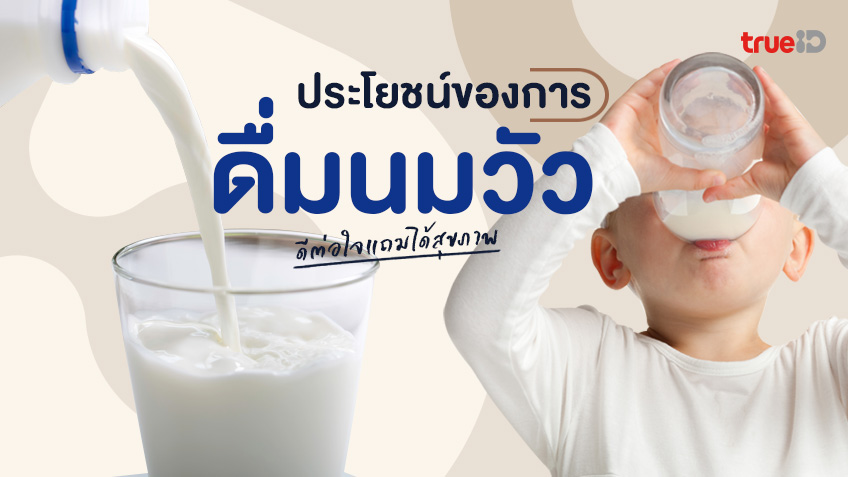 นมวัวดียังไง ประโยชน์ของนม ดื่มนมให้ถูกวิธี ดีต่อใจ แถมได้สุขภาพดี นมวัวดียังไง ประโยชน์ของนม ดื่มนมให้ถูกวิธี ดีต่อใจ แถมได้สุขภาพดี
