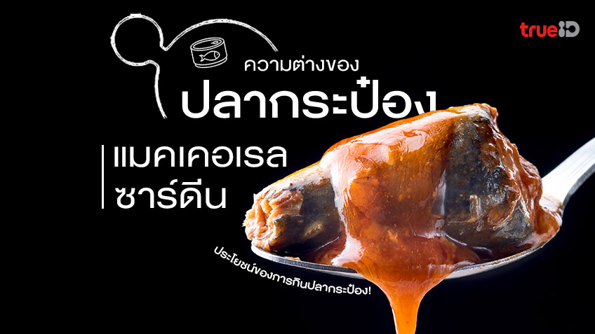 ประโยชน์ของการกิน ปลากระป๋อง แมคเคอเรล ซาร์ดีน ต่างกันไหม?