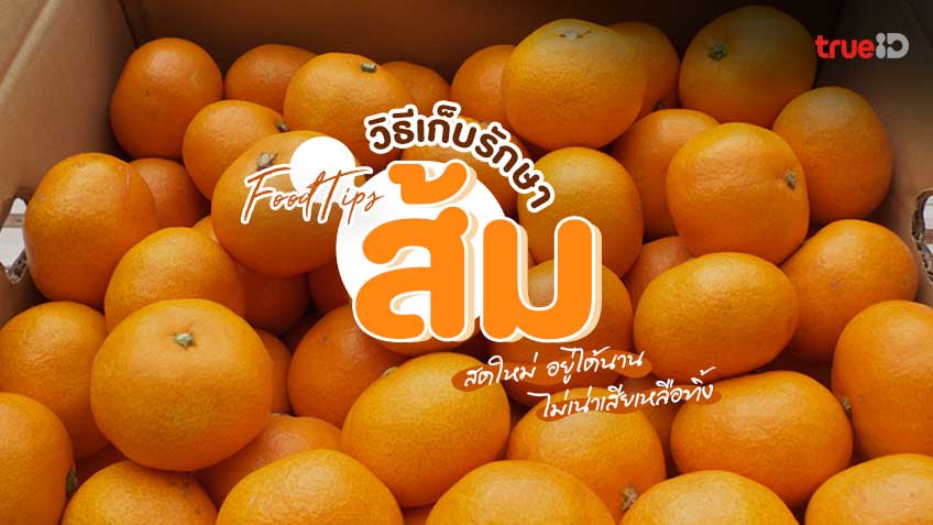 วิธีเก็บส้มไว้ได้นาน คงความสด หวานอร่อย ไม่ให้เน่าเสียเร็ว