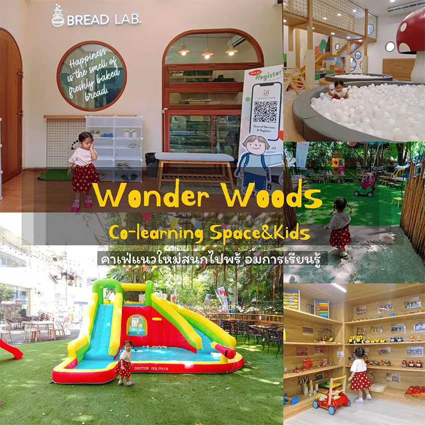 Wonder Wood วันเดอร์วูดส์ คาเฟ่เด็ก พัฒนาการ