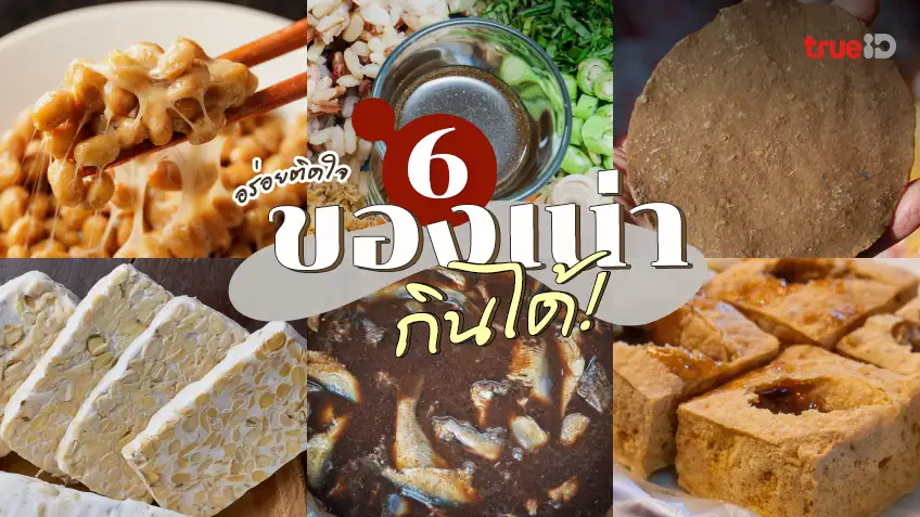 6 ของเน่า กินได้  มีอะไรบ้าง ลองแล้วอร่อย ติดใจ!