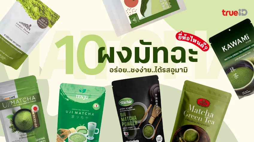 10 ผงมัทฉะ ยี่ห้อไหนดี ปี 2025 หาซื้อง่าย ชงดื่มอร่อยละมุน ได้รสอุมามิ