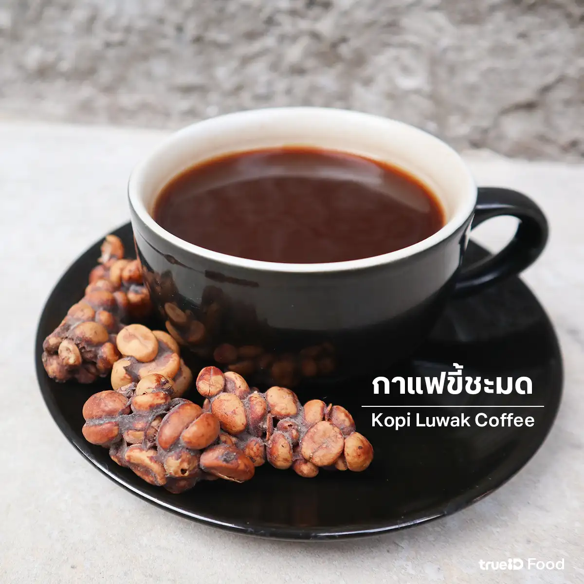 กาแฟขี้ชะมด อาหารที่แพงที่สุดในโลก