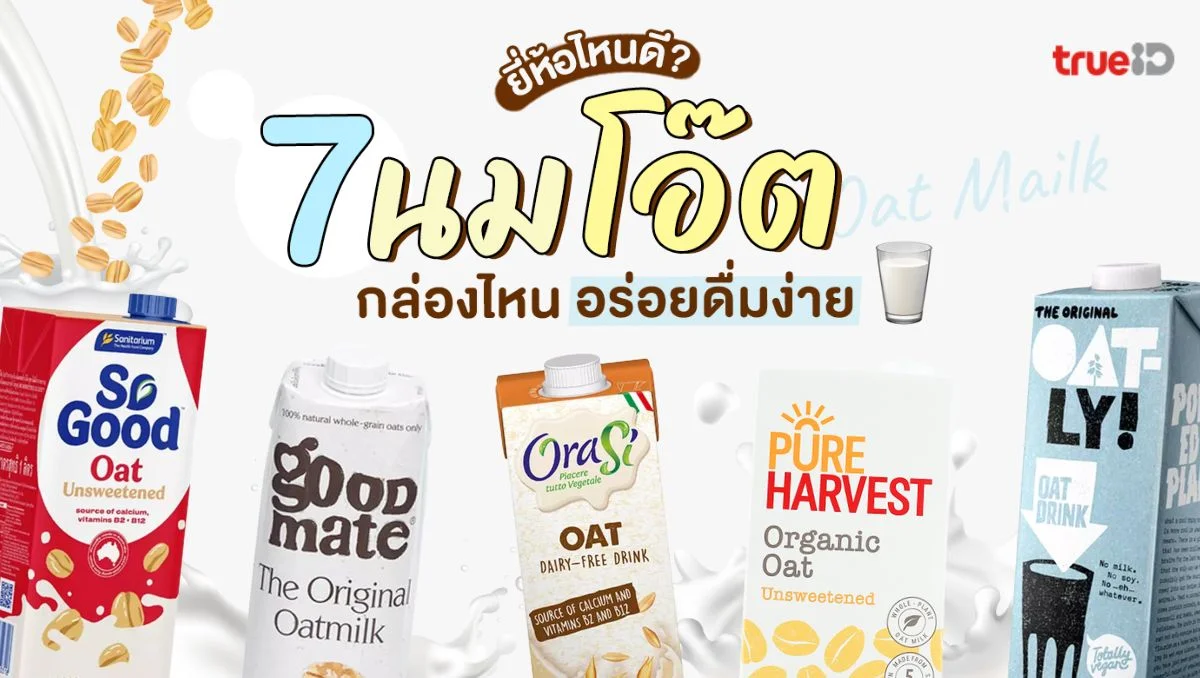 7 นมโอ๊ต ยี่ห้อไหนดี 2025 Oat Milk กล่องไหนอร่อย ดื่มง่าย
