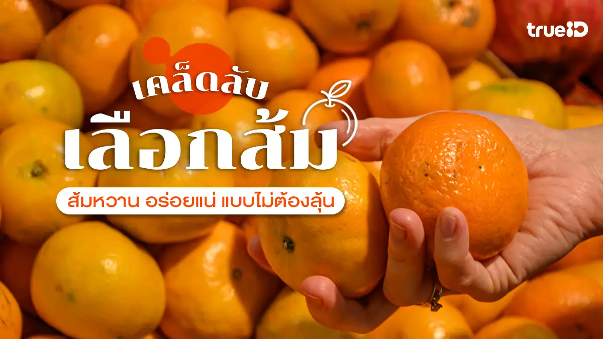 เคล็ดลับ เลือกส้มให้อร่อย ดูยังไง ให้ส้มหวานฉ่ำ ไม่ฟ่าม ไม่เปรี้ยว