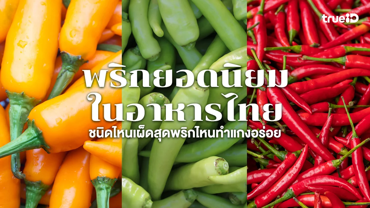 รวมพริกยอดนิยมในอาหารไทย ชนิดไหนเผ็ดสุดพริกไหนทำแกงอร่อย พริกไหนตำน้ำพริกหอม