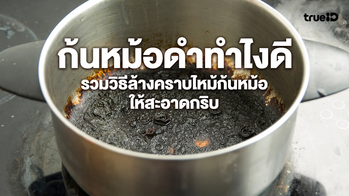 ก้นหม้อดำทำไงดี รวมวิธีล้างคราบไหม้ก้นหม้อให้สะอาดกริบ ตามประเภทวัสดุ