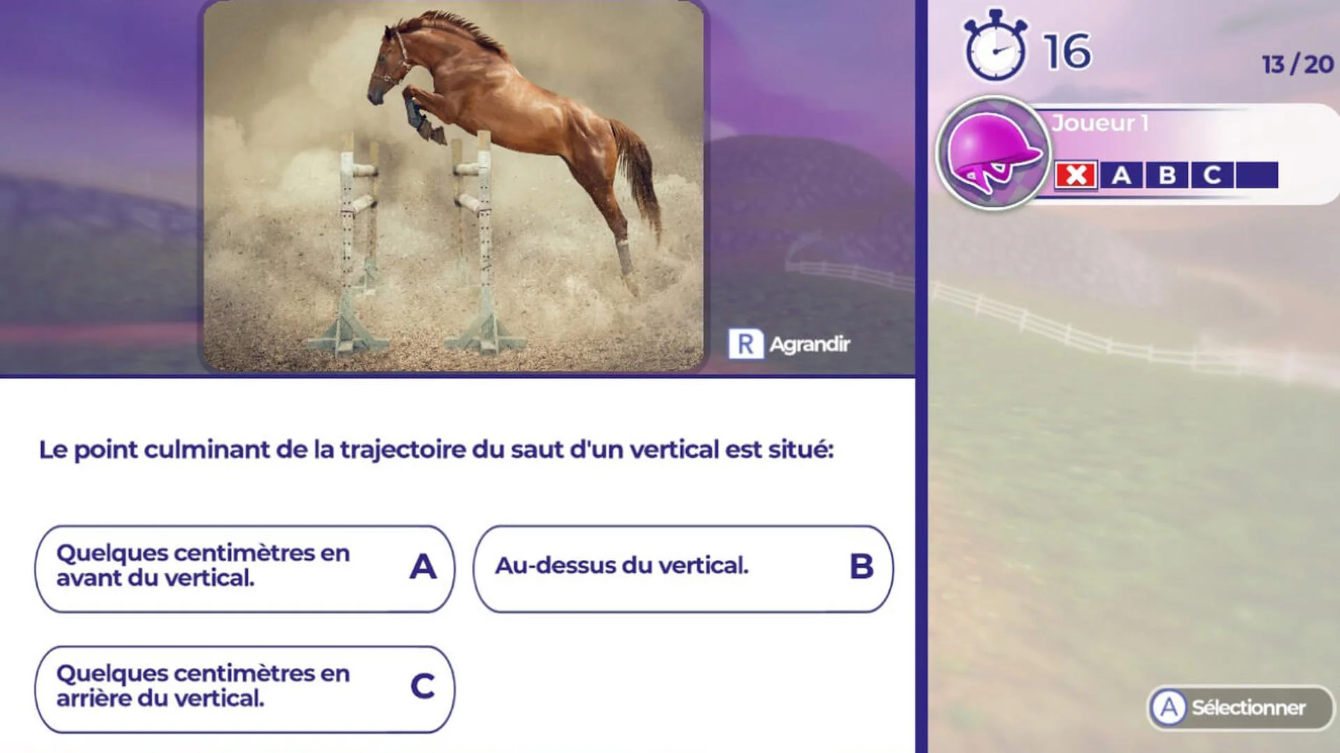 Equestrian Training screenshot 3