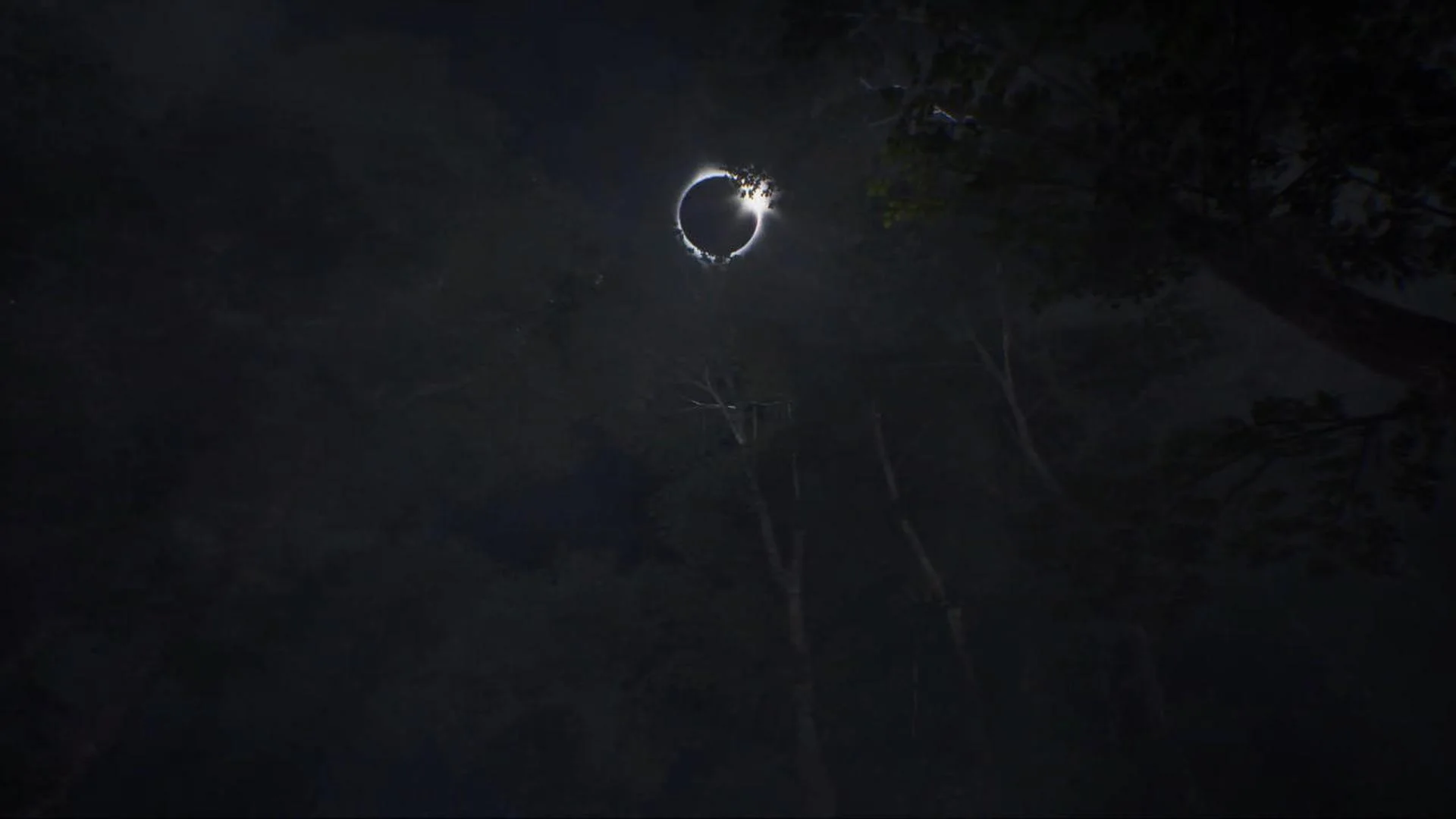 Home Sweet Home (Ep.2) screenshot 4