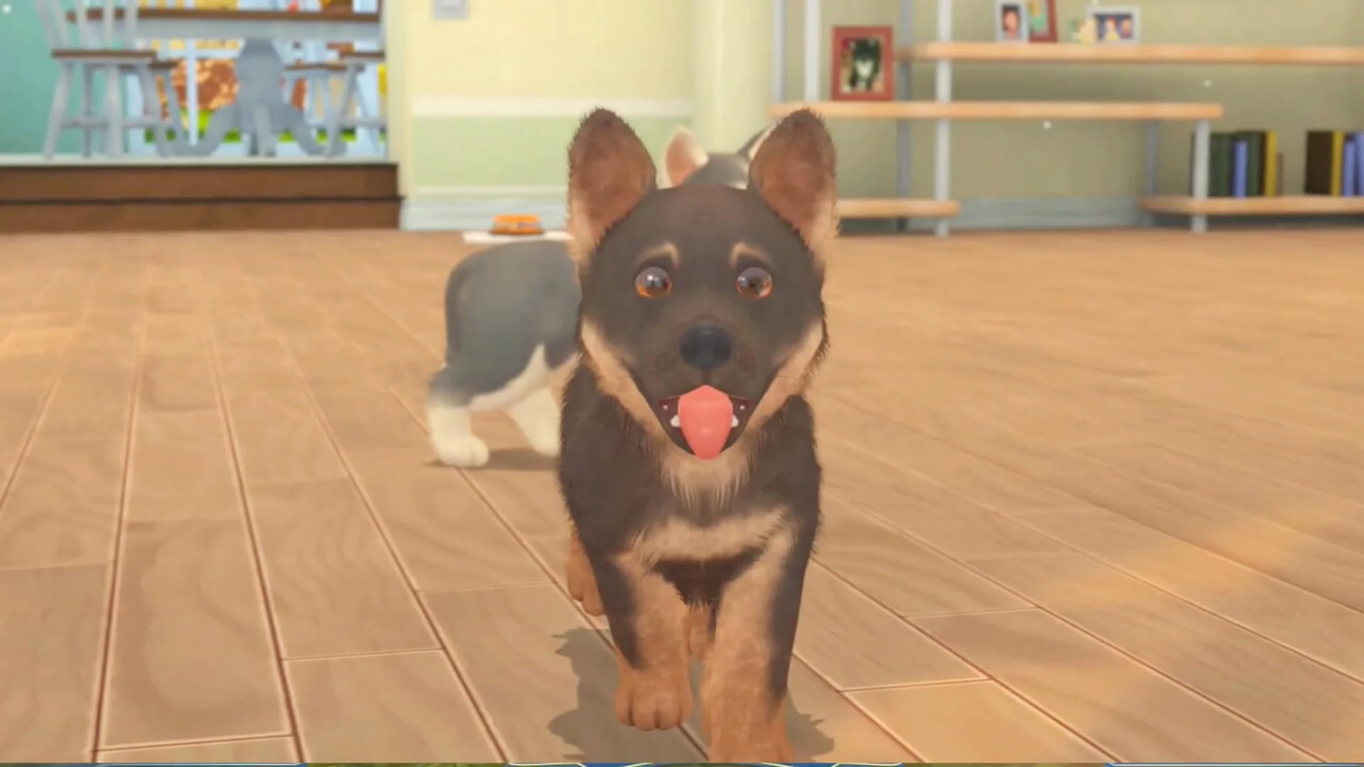 My Universe - Puppies & Kittens screenshot 3