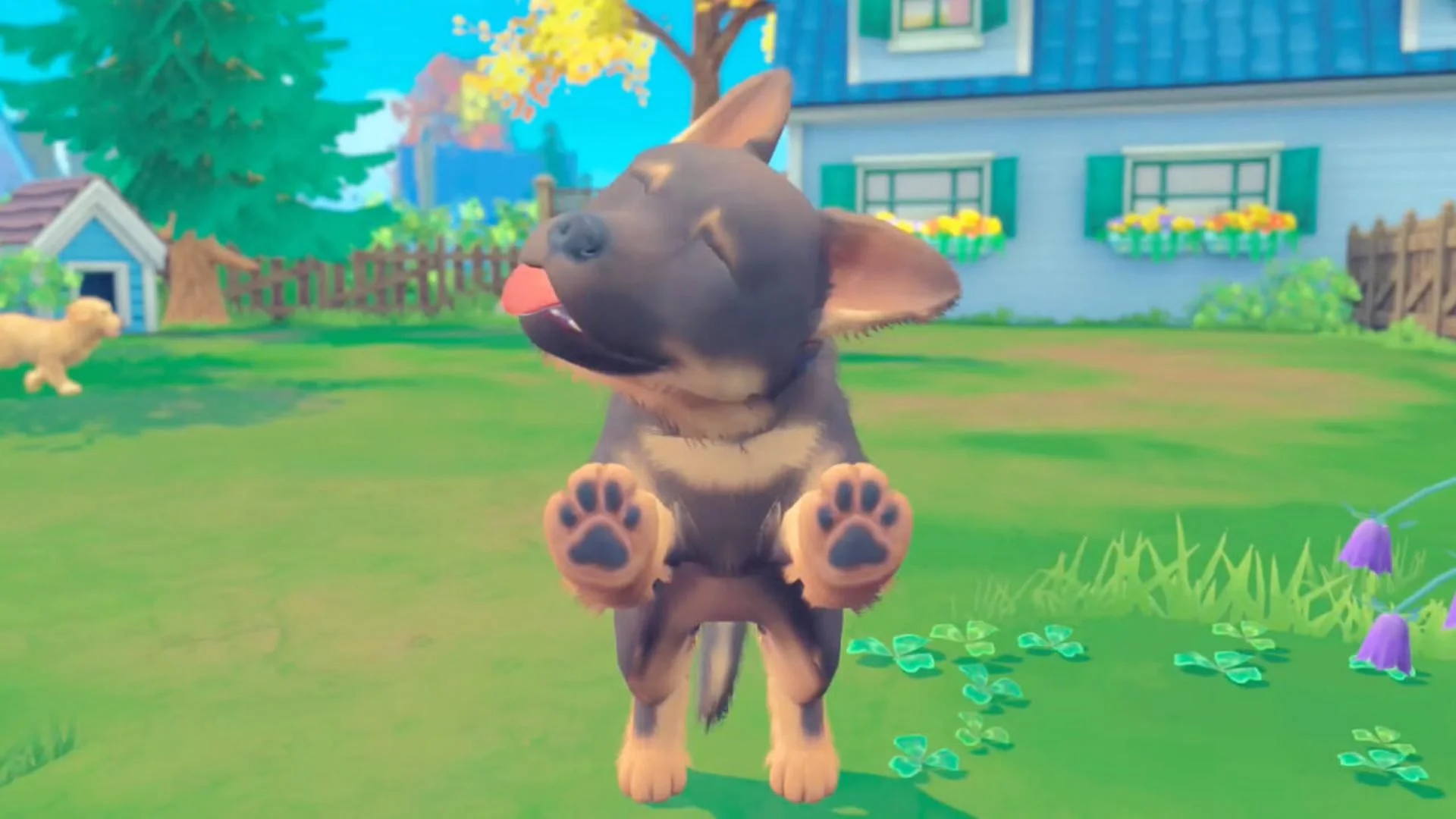 My Universe - Puppies & Kittens screenshot 4