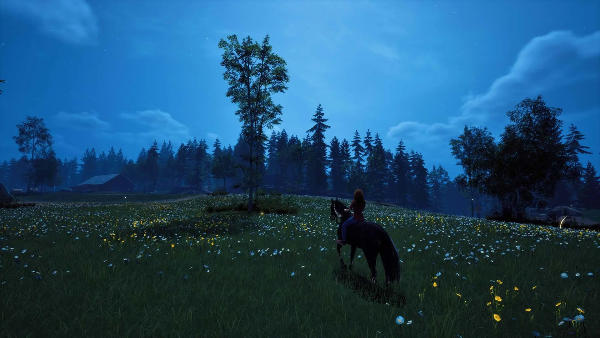 Windstorm: Start of a Great Friendship - Remastered screenshot 1