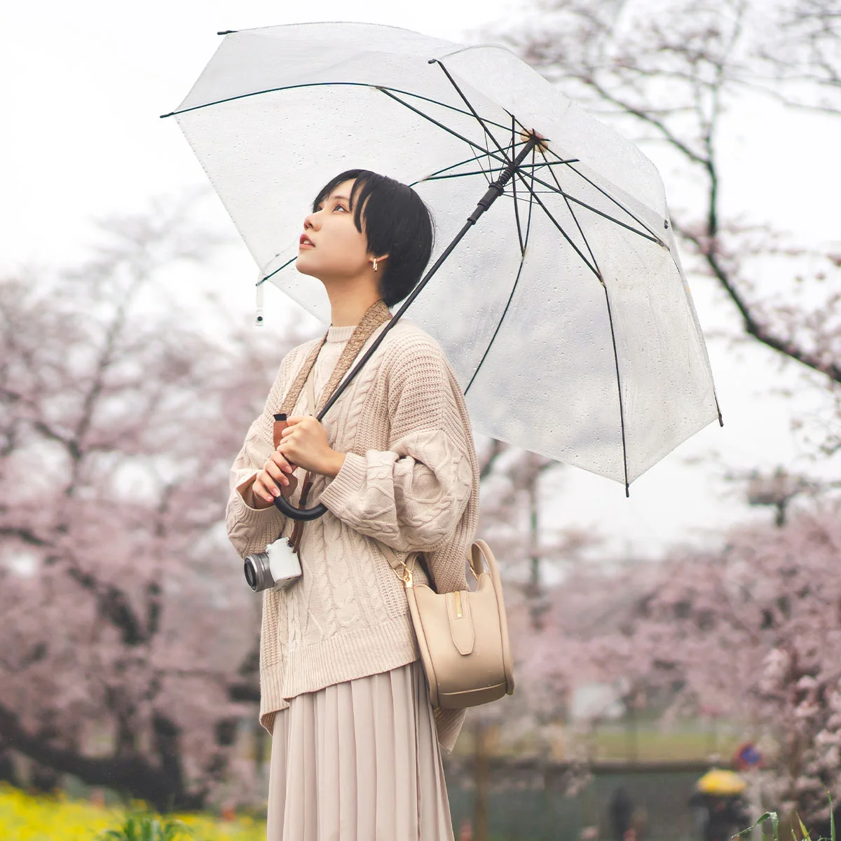 หน้าฝนบรรยากาศโรแมนติก สถานที่เที่ยวทุ่งดอกไม้บานอยากไปที่ใหน ?