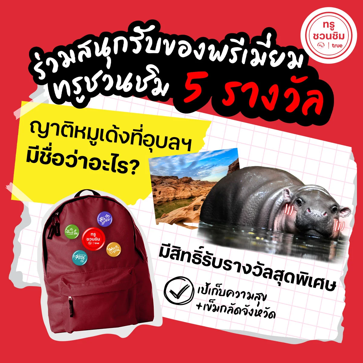 รู้หรือไม่? ลูกพี่ลูกน้องฮิปโปแคระ "หมูเด้ง" ที่อยู่สวนสัตว์อุบลราชธานีมีชื่อว่าอะไร ?