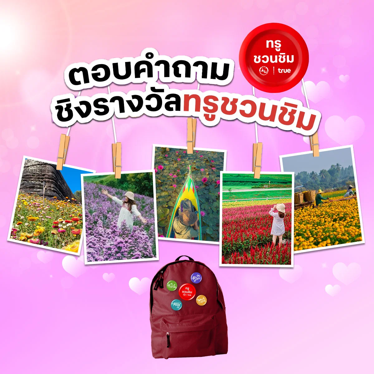 วาเลนไทน์ปีนี้ อยากพาคนรู้ใจไปเติมความหวานที่ทุ่งดอกไม้ สุดโรแมนติกที่ใด ?