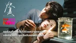 TrueVision_N/A_N/A_NeverEndingSummer_NA_Own_WebBanner_Jul26(2)