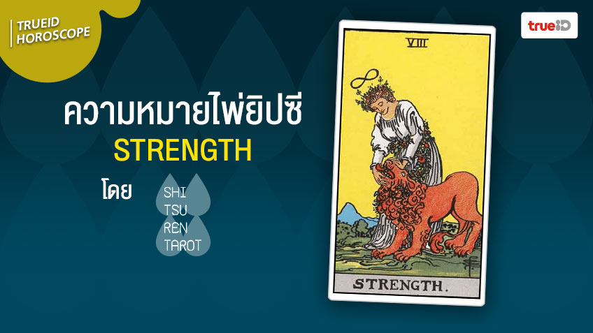 ความหมายไพ่ยิปซี  ไพ่ STRENGTH ไพ่ ผู้หญิงเกาคางสิงโต