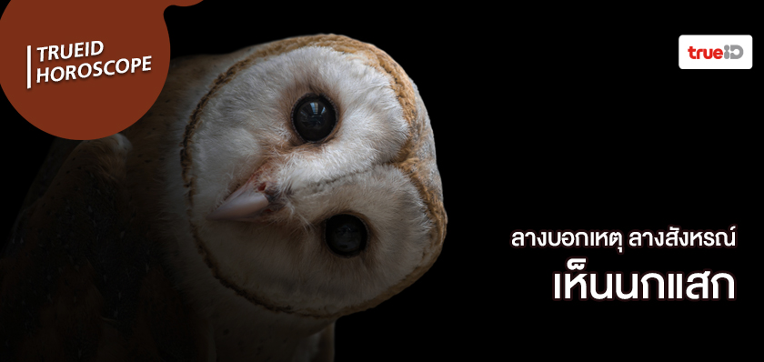 ลางสังหรณ์คืออะไร ลางบอกเหตุคืออะไร เห็นนกแสก