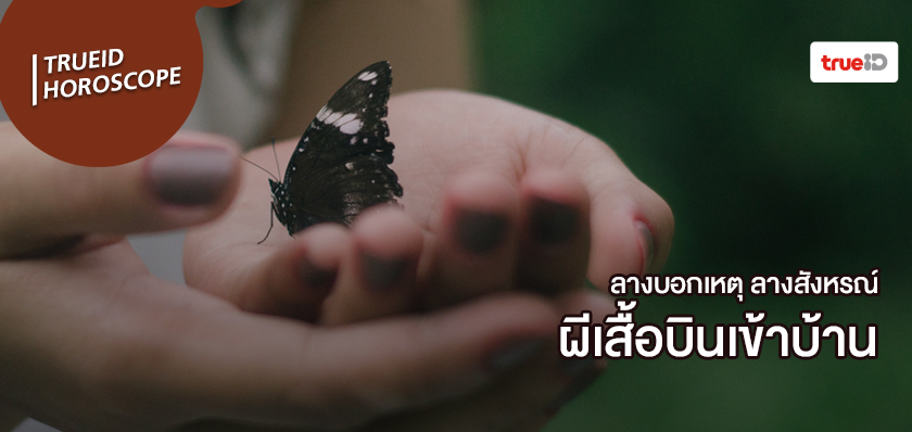 ลางสังหรณ์คืออะไร ลางบอกเหตุคืออะไร ผีเสื้อบินเข้าบ้าน