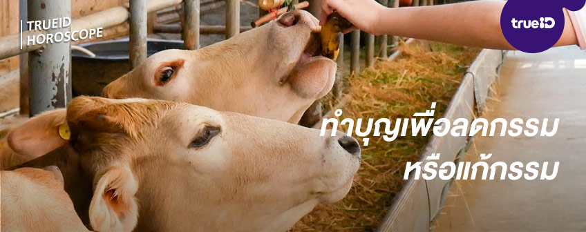 แก้กรรม ขอคู่ ทำบุญ