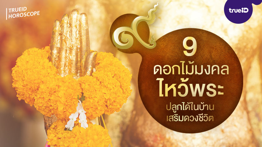 9 ดอกไม้มงคล ดอกไม้ไหว้พระสวยๆ ปลูกได้ในบ้าน มีดอกอะไรบ้า...