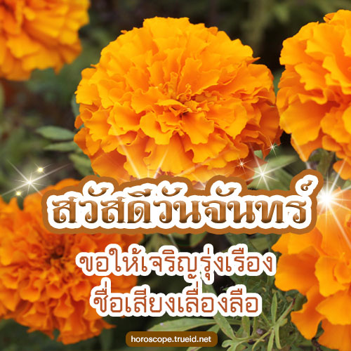 สวัวดีวันจันทร์ ดอกไม้สวย ดอกดาวเรือง พระ ธรรมะ สีเหลืองสดใส พร้อมคำอวยพร