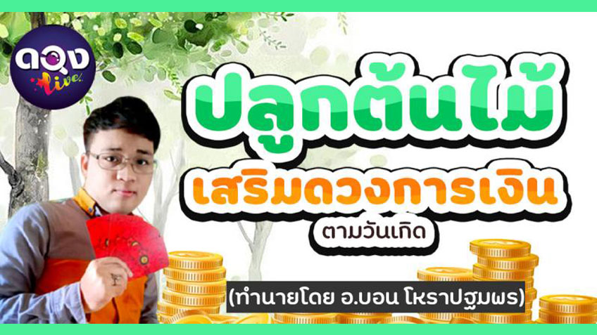 ปลูกต้นไม้เสริมดวง การเงิน ตามวันเกิด ทำนายโดย อ.บอน โหรา...