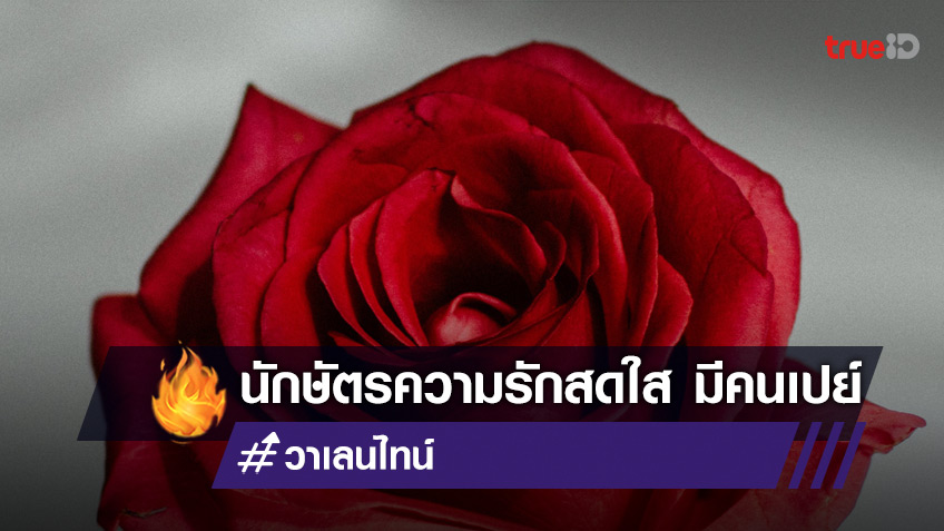 นักษัตรไหนความรักสดใส ได้คนอุปถัมภ์ โดย อาจารย์โจ ไลฟ์โค้ช ดูแล้วใช่เลย